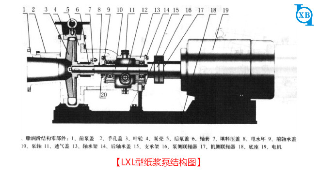 紙漿泵結(jié)構(gòu)圖.png